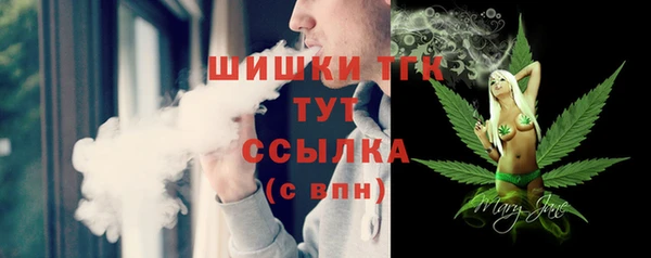 шишки Алексин