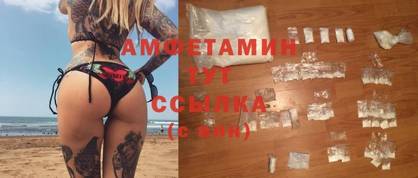 шишки Алексин