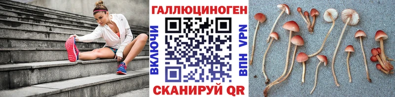 Псилоцибиновые грибы GOLDEN TEACHER Фатеж